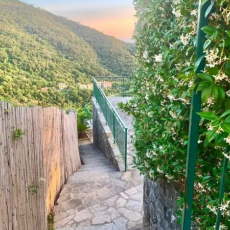 Corner Of Paradise *