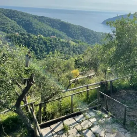 Corner Of Paradise * Moneglia