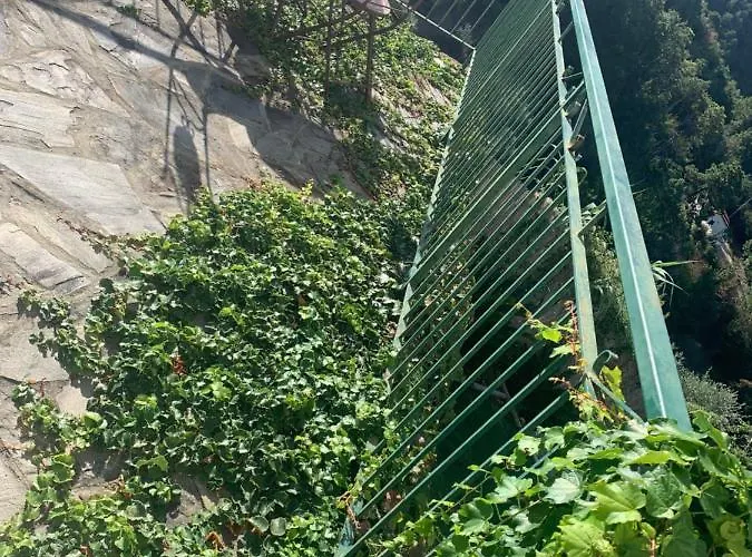 Corner Of Paradise