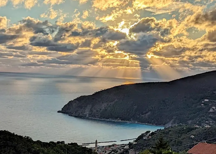 Corner Of Paradise 莫内利亚