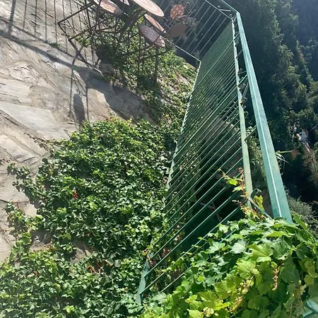Corner Of Paradise