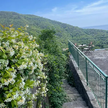 Corner Of Paradise Moneglia