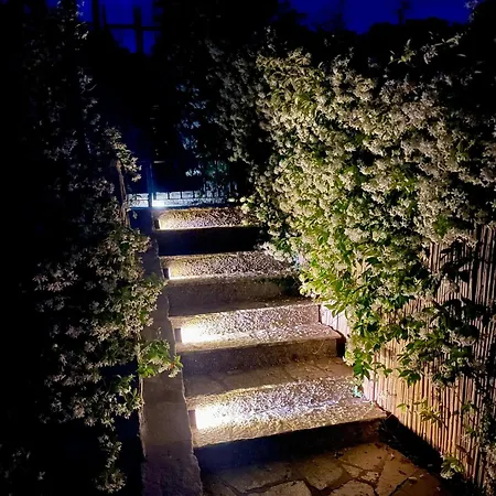 Corner Of Paradise * Moneglia