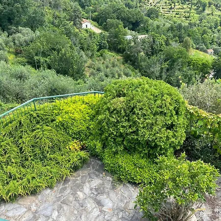 Corner Of Paradise Moneglia