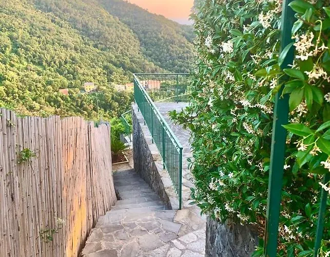 Corner Of Paradise *