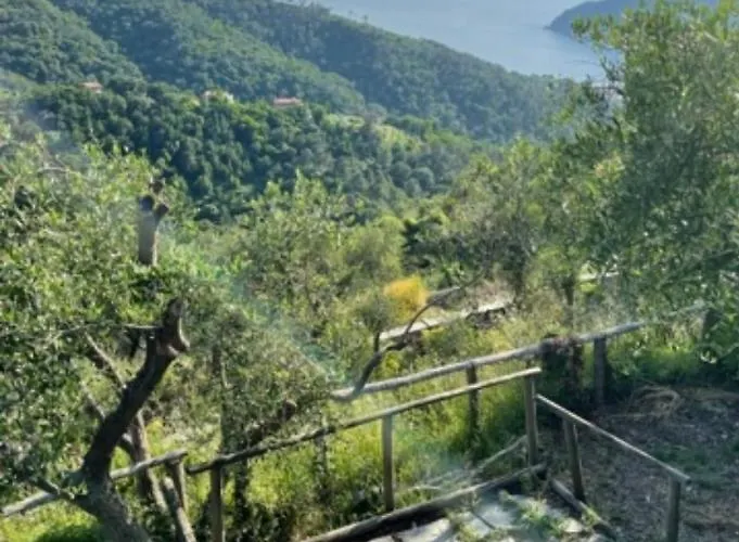 Corner Of Paradise * Moneglia
